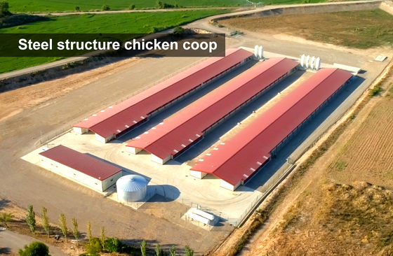 Agricoltura siderurgica allevamenti prefabbricati di pollame costruzione con gabbie per polli e capanne metalliche