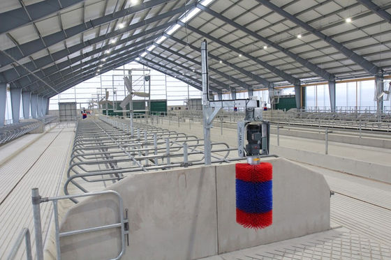 Cutting Service Prefabricated Steel Structure Building for Horse Stable Construction Edificio di struttura in acciaio prefabbricato per la costruzione stabile di cavalli