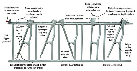 Cutting Service Prefabricated Steel Structure Building for Horse Stable Construction Edificio di struttura in acciaio prefabbricato per la costruzione stabile di cavalli