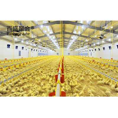 Casa di allevamento in acciaio certificata ISO9001 2008/CE/BV per l'allevamento di bestiame e pollame