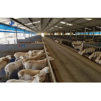 Soluzione di allevamento di bestiame con travi in acciaio solide a forma di H per bovini e capre vivi