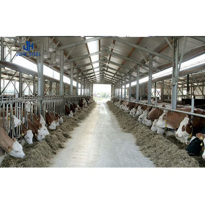Struttura in acciaio leggero di colore personalizzato Casa di allevamento capra Capra allevamento di pecore allevamento di bovini allevamento di mucche