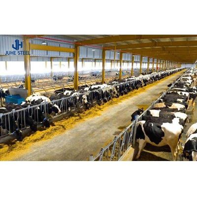 2-10 metri di altezza Casa di allevamento di mucche Progetto stalla con diametro di tubo di 60 mm