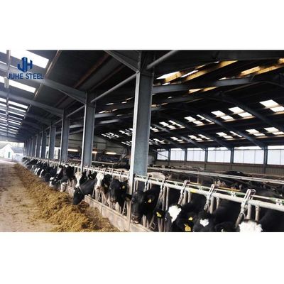 2-10 metri di altezza Casa di allevamento di mucche Progetto stalla con diametro di tubo di 60 mm