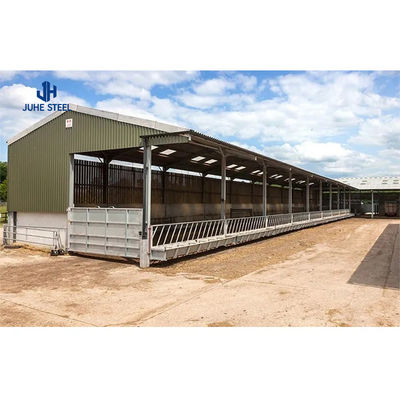 Low Maintenance Poultry Farm Equipment for Broiler Chicken Feeding in Steel Structure (Apparecchiature di allevamento di pollame a bassa manutenzione per alimentare polli di pollo in struttura in acciaio)
