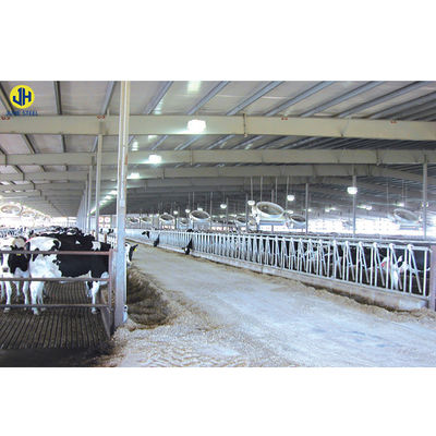 Low Maintenance Poultry Farm Equipment for Broiler Chicken Feeding in Steel Structure (Apparecchiature di allevamento di pollame a bassa manutenzione per alimentare polli di pollo in struttura in acciaio)