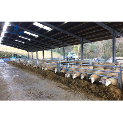 Low Maintenance Poultry Farm Equipment for Broiler Chicken Feeding in Steel Structure (Apparecchiature di allevamento di pollame a bassa manutenzione per alimentare polli di pollo in struttura in acciaio)