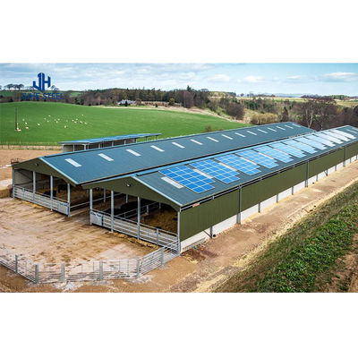 Low Maintenance Poultry Farm Equipment for Broiler Chicken Feeding in Steel Structure (Apparecchiature di allevamento di pollame a bassa manutenzione per alimentare polli di pollo in struttura in acciaio)