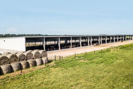 Agricoltura siderurgica e allevamento Edilizia 80 kg Rondola con servizio di taglio
